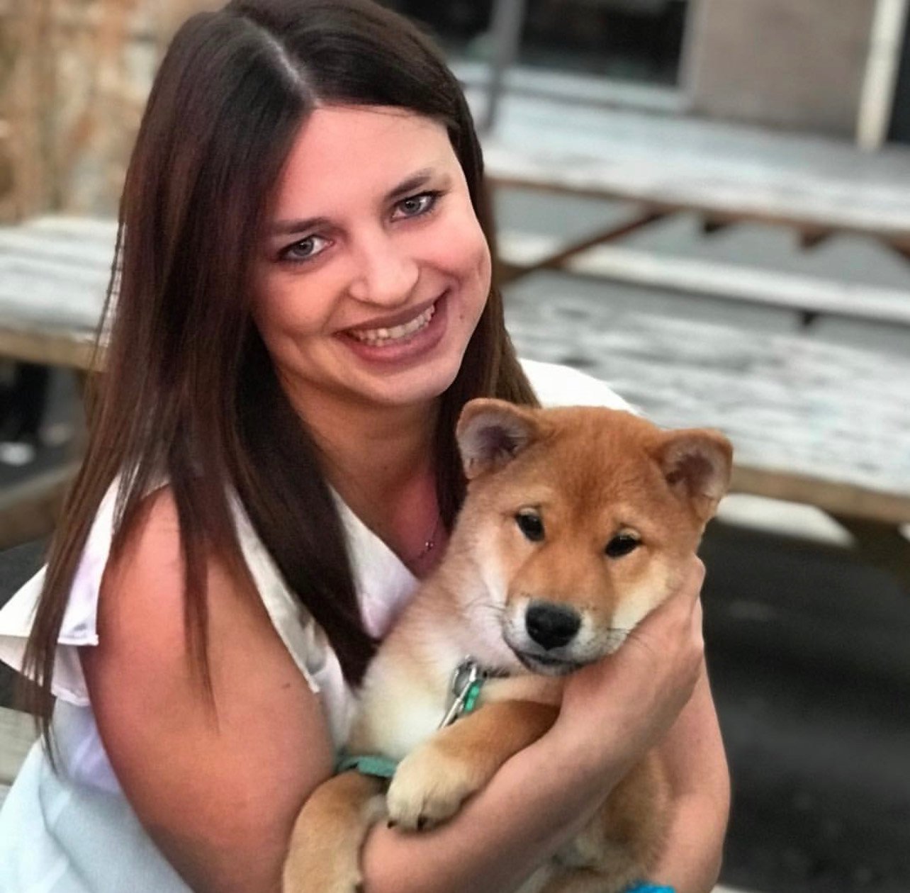 Read more about the article Playful Shiba Inu Puppy Vet Visits